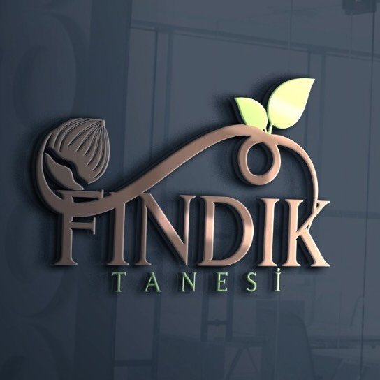 Fındık Tanesi
